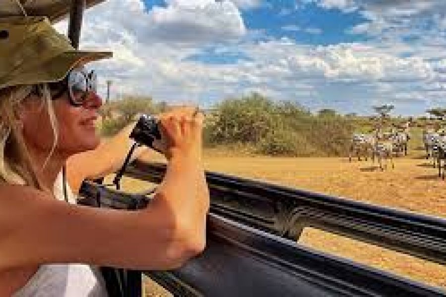 Tour Mybidesh - Tanzania: Wild Safari & Emerald Seas