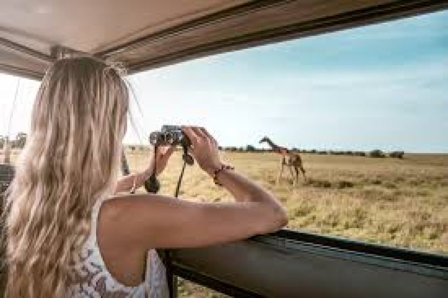 Tour Mybidesh - Kenya: The Great Migration & Big Five Safari